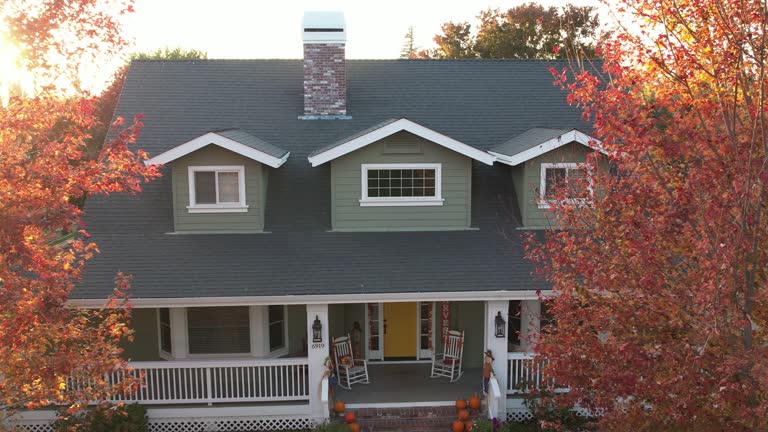 Best Roof Moss and Algae Removal  in Leland, NC